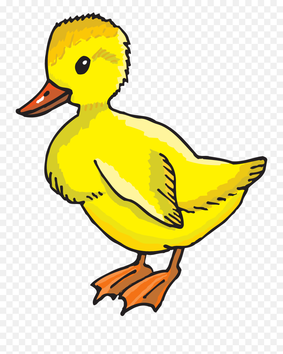 Duck Clipart Gambar - Free Duck Clipart Png,Duck Clipart Png