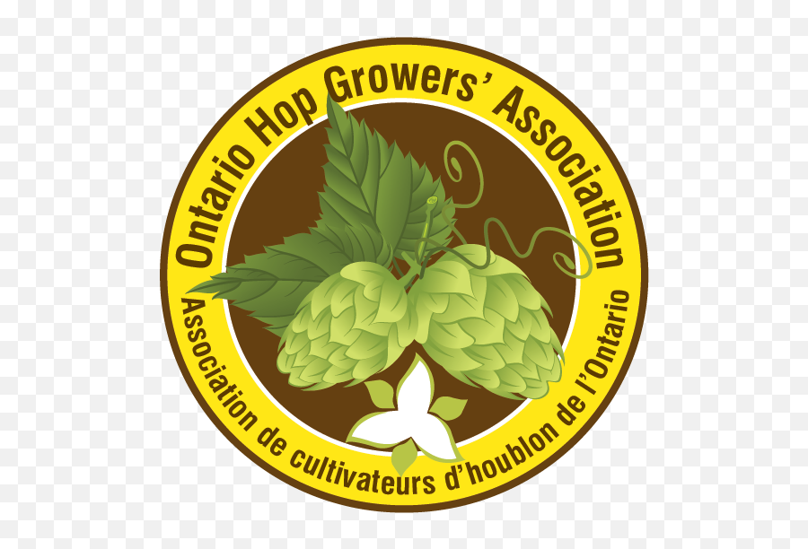 Teaching Brewery Hops - Spondylitis Association Of America Png,Hops Png