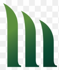 November 2018 U2013 Miscanthus - Vertical png