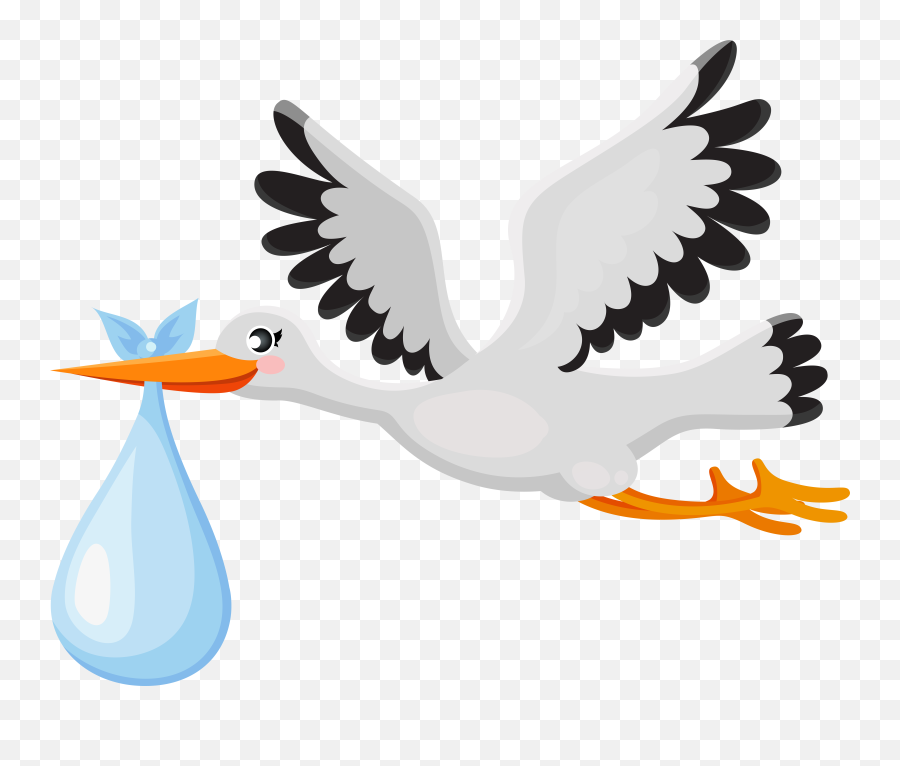 Stork Baby Png Free Clipart Transparent