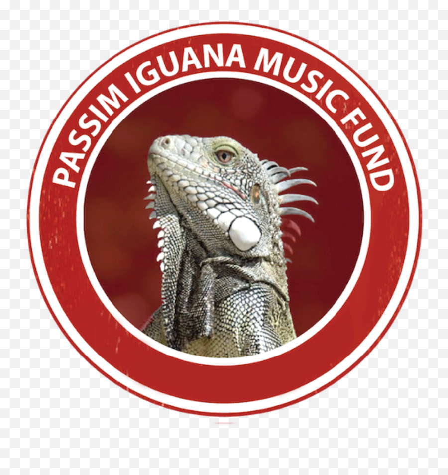 Iguana Png