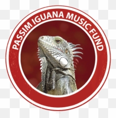 Iguana Png