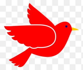 Red Bird Clipart Images - Transparent Background png