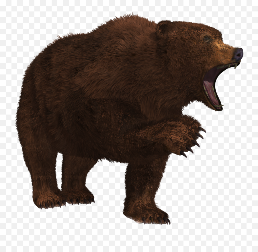 Bear Png Free File Download - Bear Growling No Background,Grizzly Bear Png