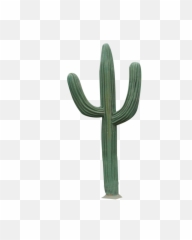 Download Free Png Cactus - Cactus Png Transparent,Cactus Clipart Png