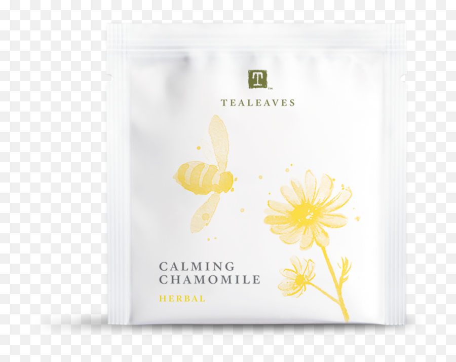 Calming Chamomile - English Marigold Png,Chamomile Png