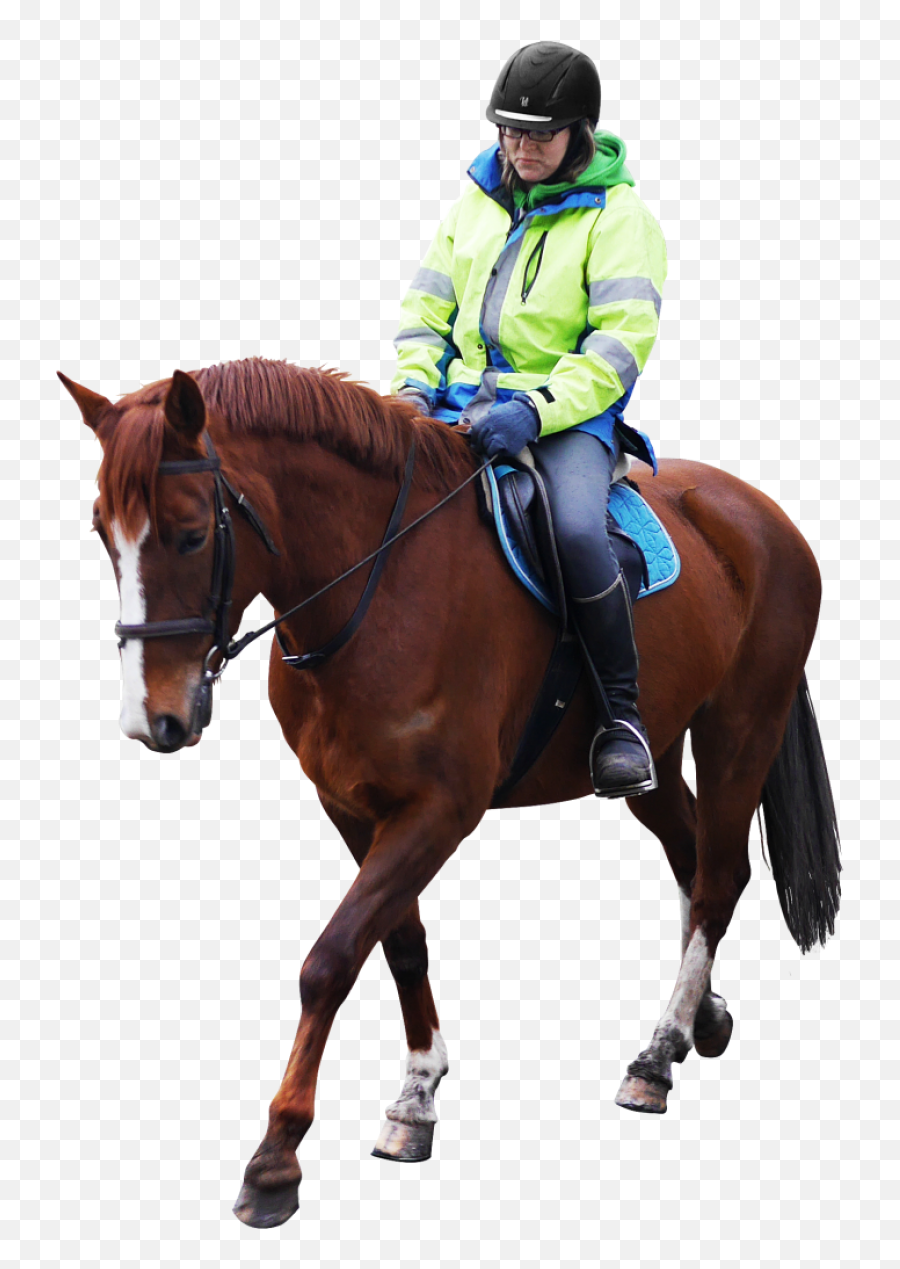 Horse Riding Png Image - Riding A Horse Png,Horse Transparent Png