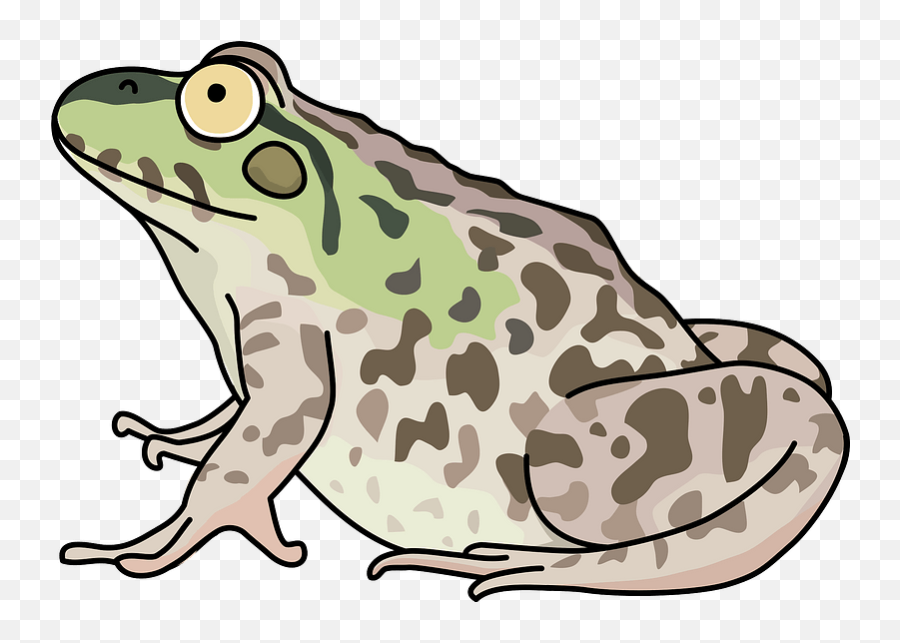Dark - Spotted Frog Clipart Free Download Transparent Png Bufo,Frog Clipart Png
