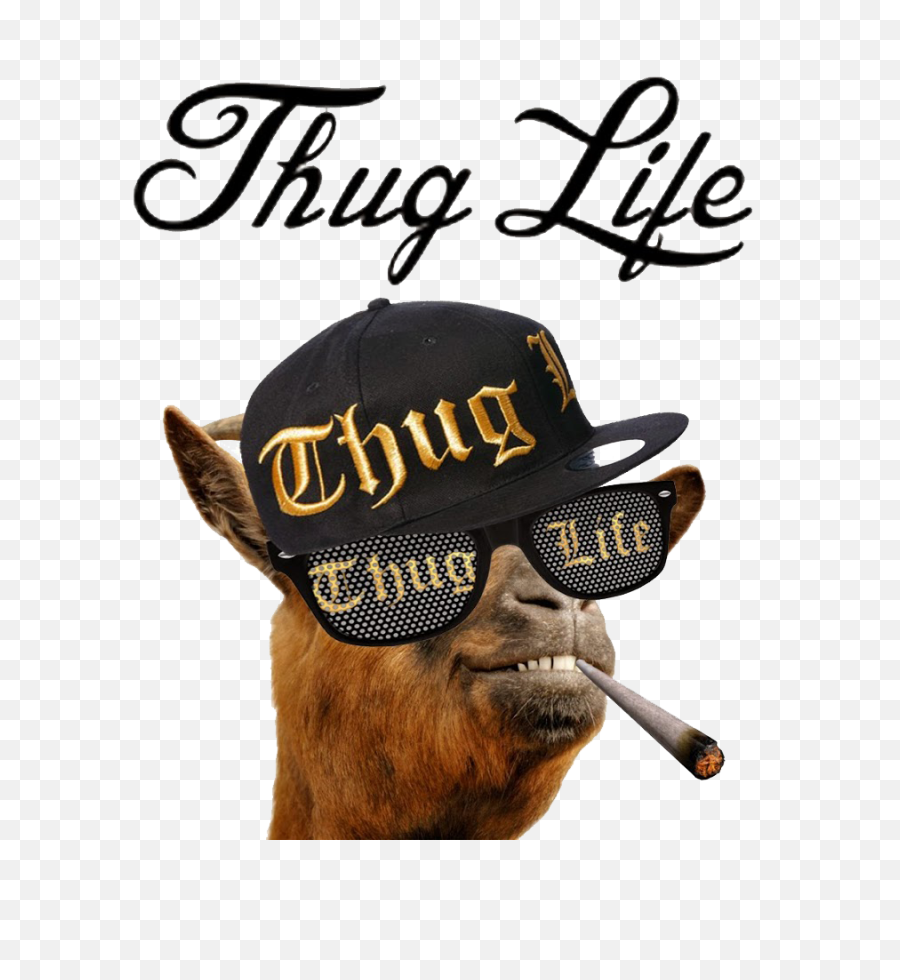 Thug Life Png - Thug Life Clipart Full Size Clipart Ta Ra Ra Ra Ra Snoop Dogg,Thug Life Glasses Transparent Background