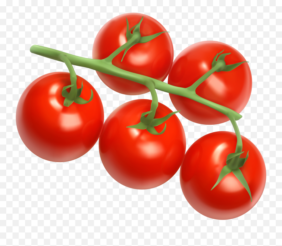 Free Tomato Background Cliparts - Cherry Tomatoes Png,Tomatoe Png