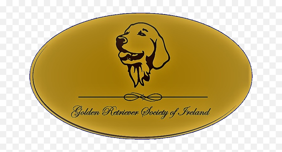 Care Of Your Golden Retriever U2013 Society - English Cocker Spaniel Png,Golden Retriever Png