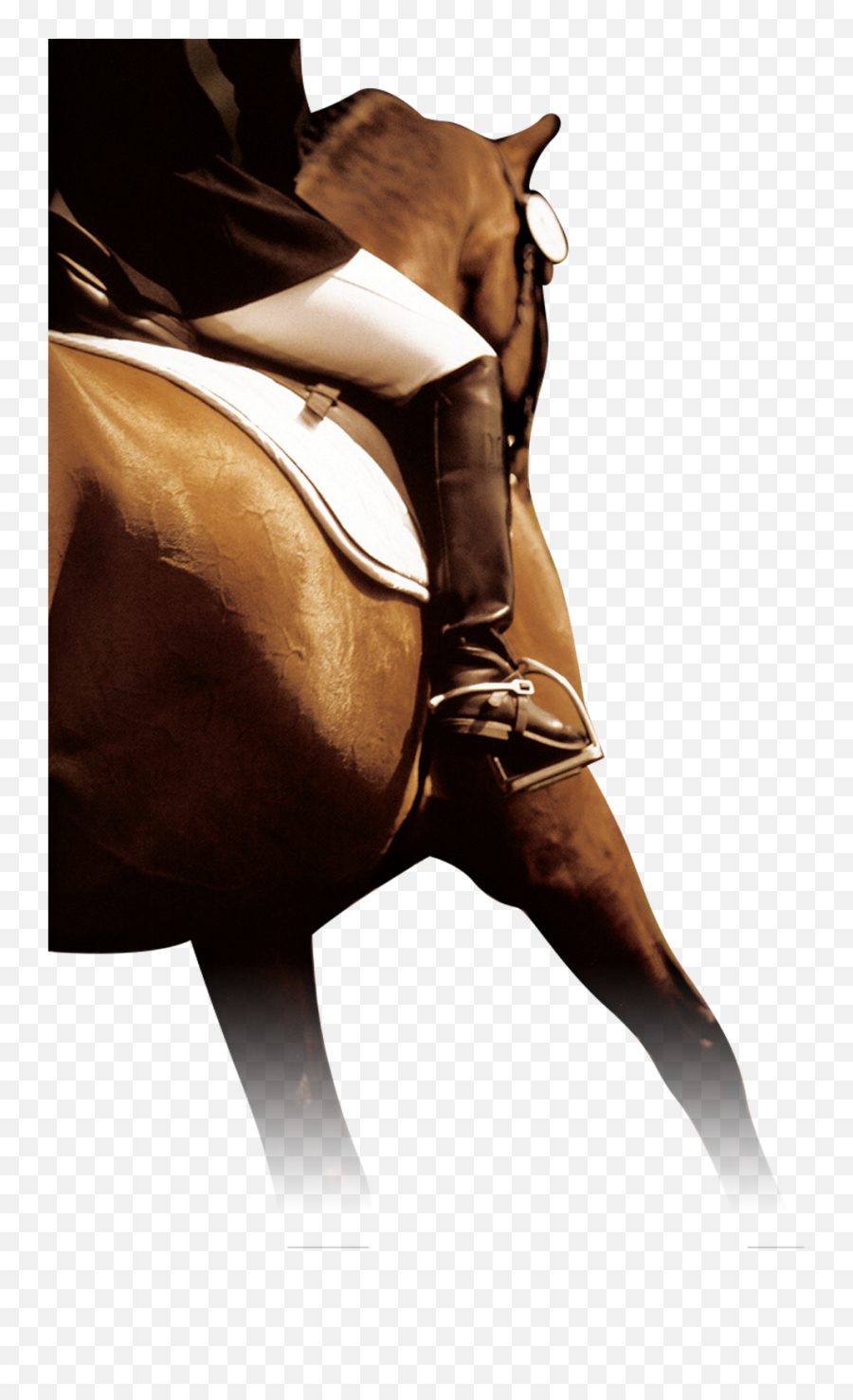 Png Images Show Jumping Horse Equestrian Dressage - Horse,Jumping Png