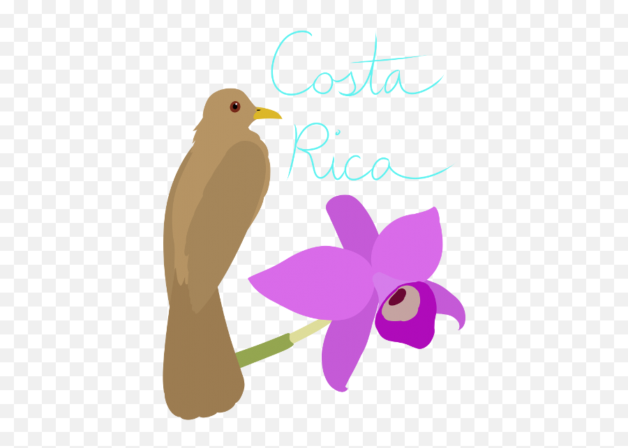 Costa Rica Symbols Merch - Costa Rica Symbols Png,Redbubble Logo Png