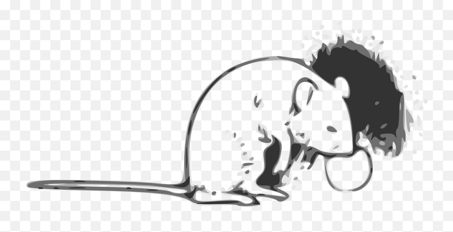 Mouse Rodent Animal Rat Png Picpng - Rat,Mouse Animal Png