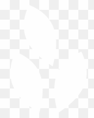 Orphans Tree Png