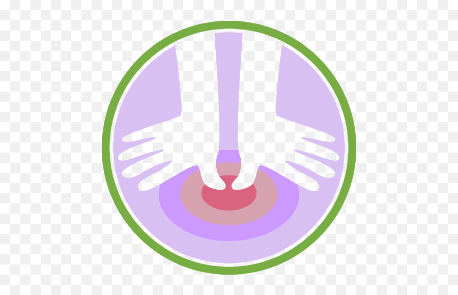 Aloha Academy Of Massage - 2 Hands Massage Icon Png,Massage Therapy Icon