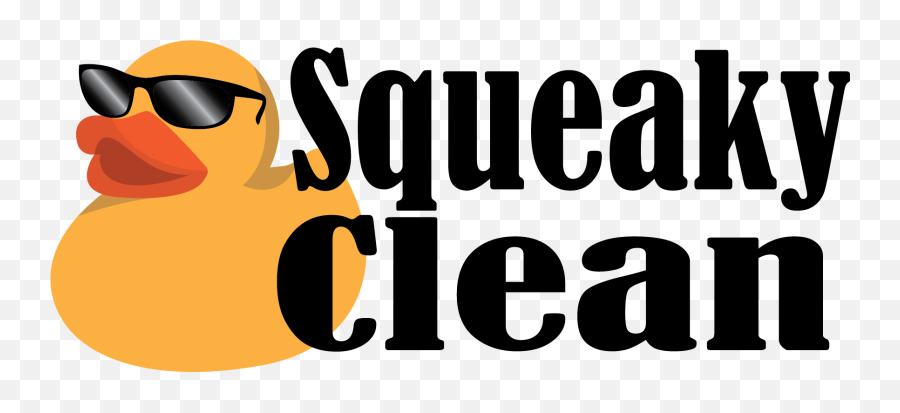 Squeaky Clean Window Cleaning Williamsburg Va - Billiards Vector Png,Clean Png