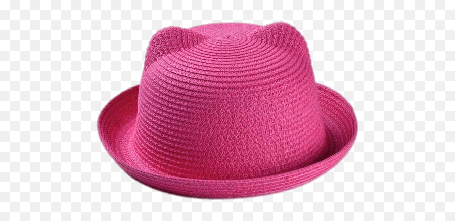 Summertime Pink Pussyhat Transparent Png - Stickpng Sun Hat,Fedora Transparent Background