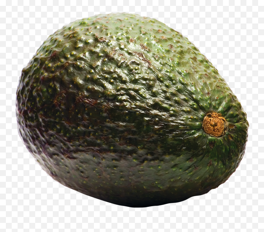 Aocado - Transparent Background Avocado Png,Avocado Transparent Background