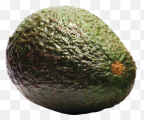 Aocado - Transparent Background Avocado Png,Avocado Transparent Background