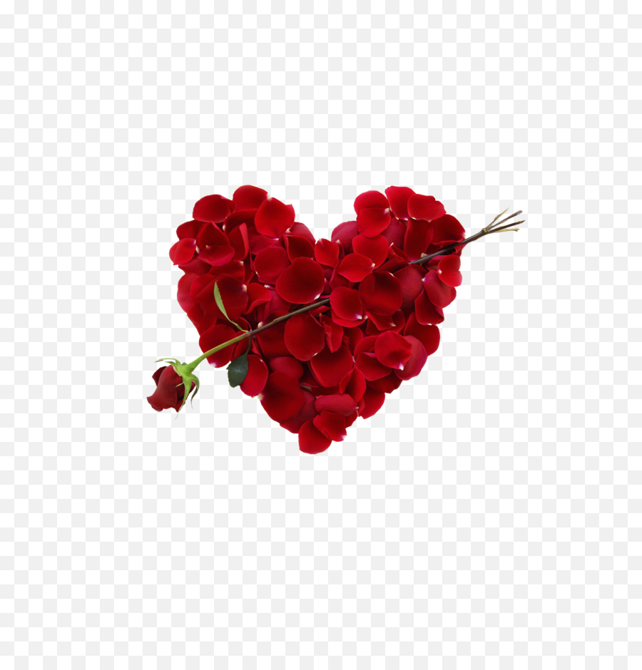 Transparent Rose Heart Png Picture Free Download Searchpngcom - Romantic Happy Rose Day,Rose Transparent