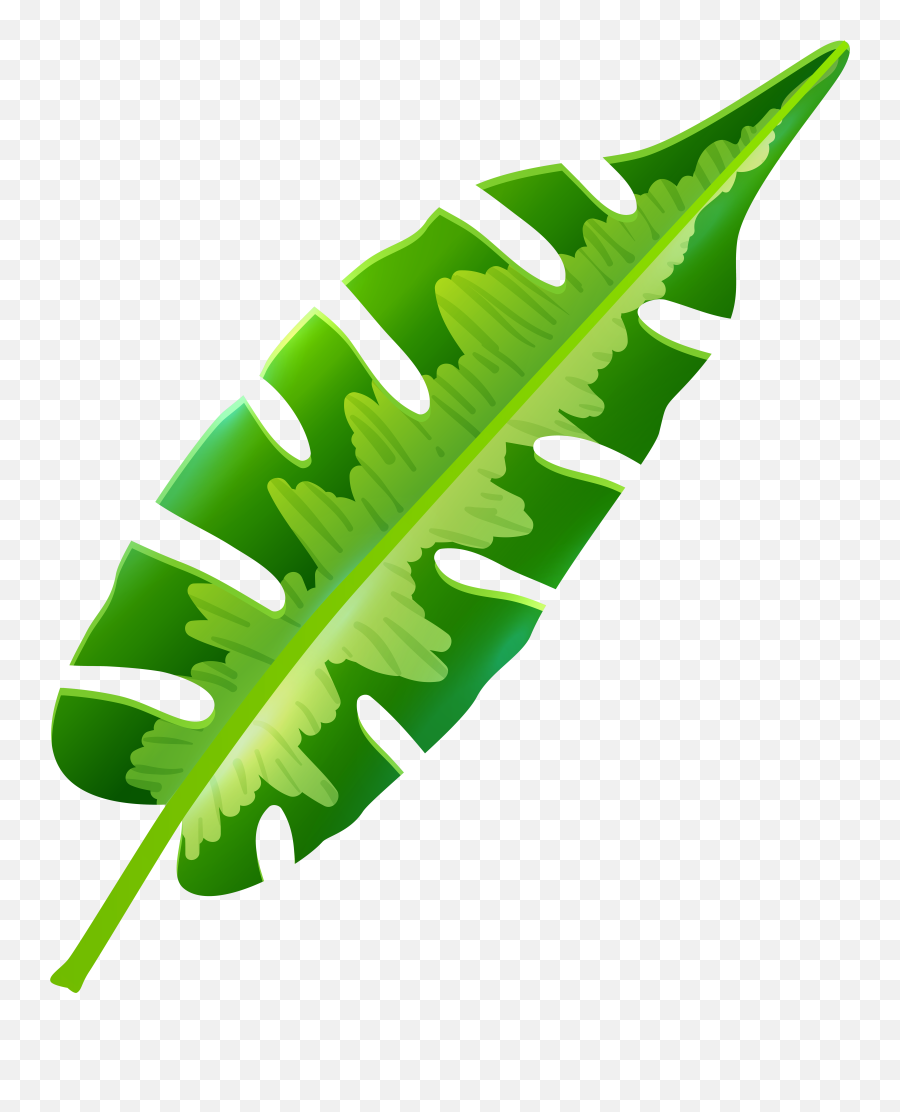 Tropical Leaves Png Clipart