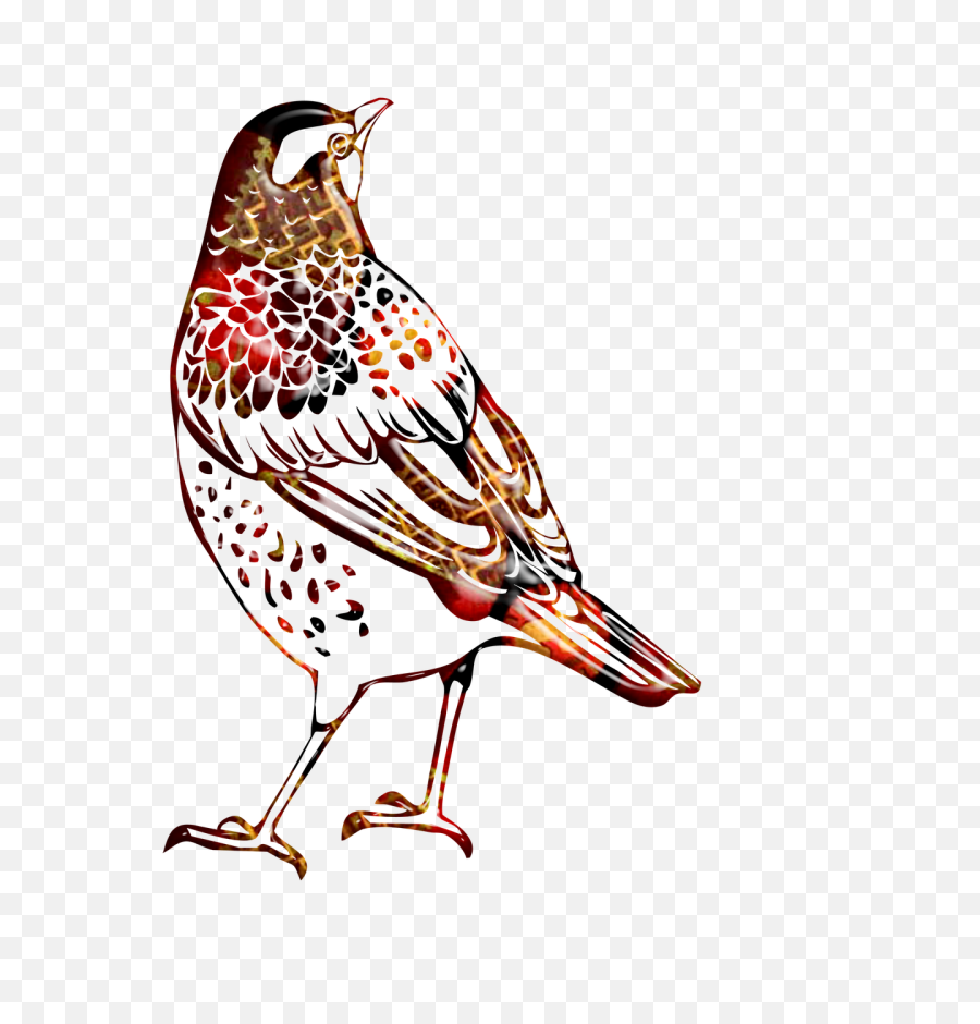 Watercolor Painting Clipart Bird - Thrush Black And White Png,Painting Clipart Png