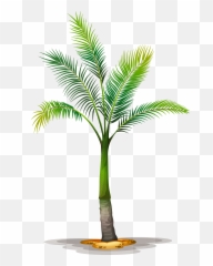 Tree Planting Trees To Palm - Green Stem png