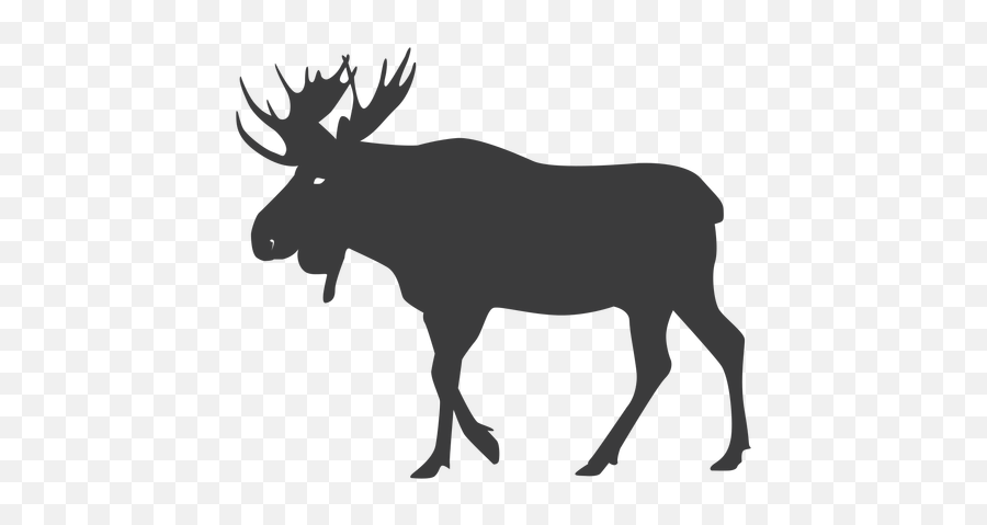 Moose Antler Elk Silhouette Animal - Elk Black And White Png,Elk Png