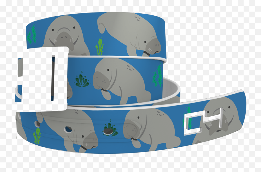 Download Manatee Clipart Top Hat - C4 Belts Png,Manatee Png