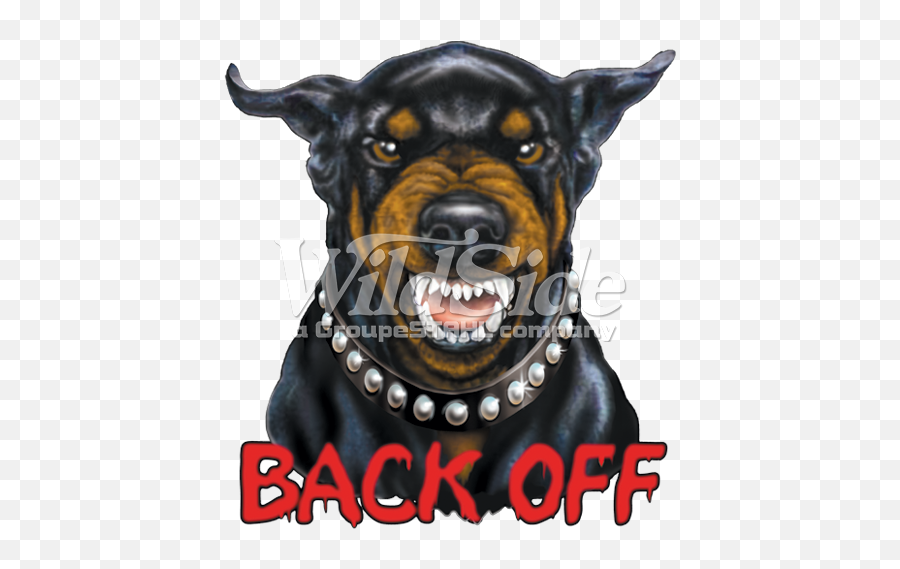 Download Doberman Rott Pocket - Rebel Flag Dog Png,Doberman Png