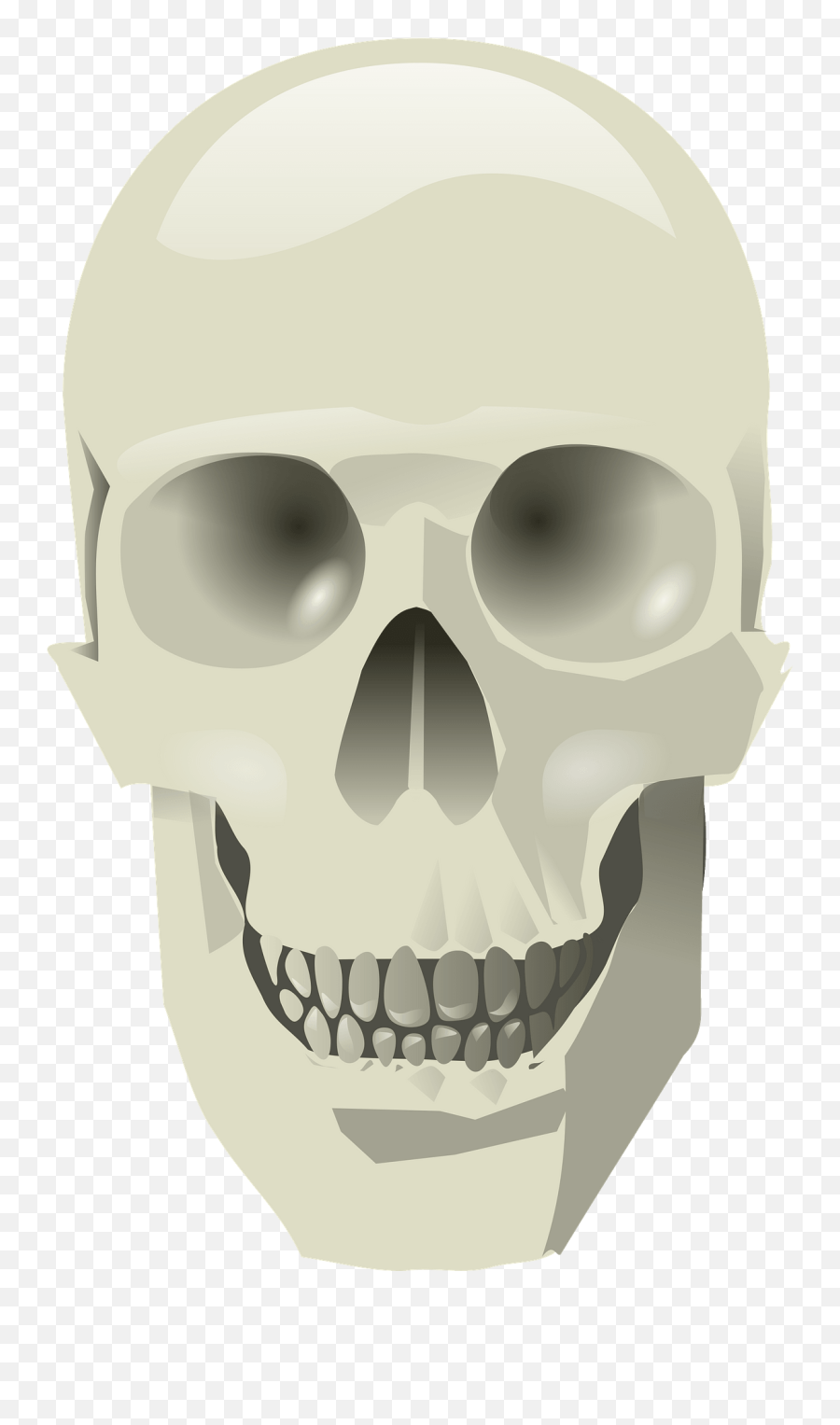 Human Skull Clipart - Clip Art Png,Human Skull Png