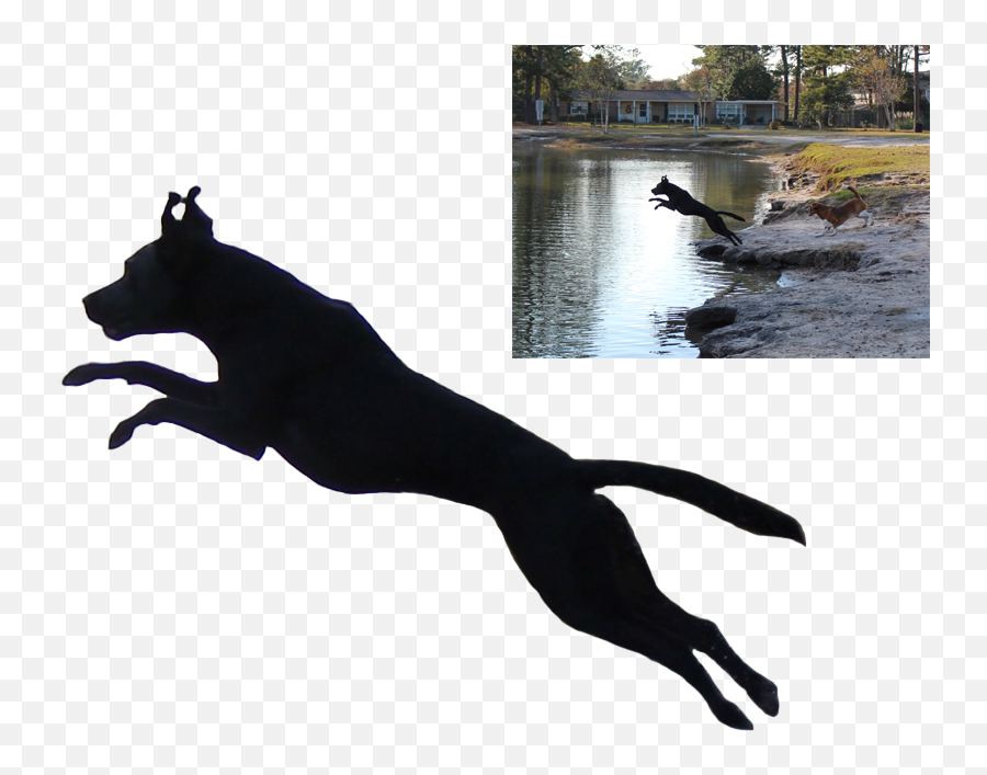 Jumping Dog Silhouette Hd Png Download - Jumping Dog Silhouette,Dog Silhouette Png