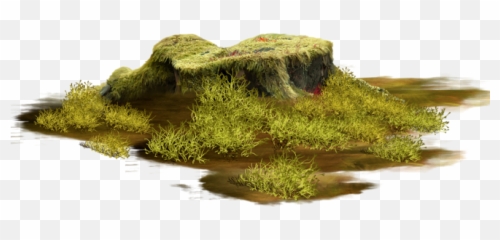 Treestump Stump Ground Groundcover Terrieasterly - Tube Grass png