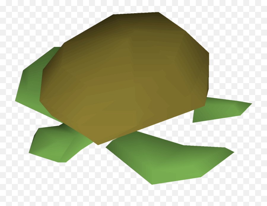 Raw Sea Turtle - Osrs Wiki Origami Png,Sea Turtle Png