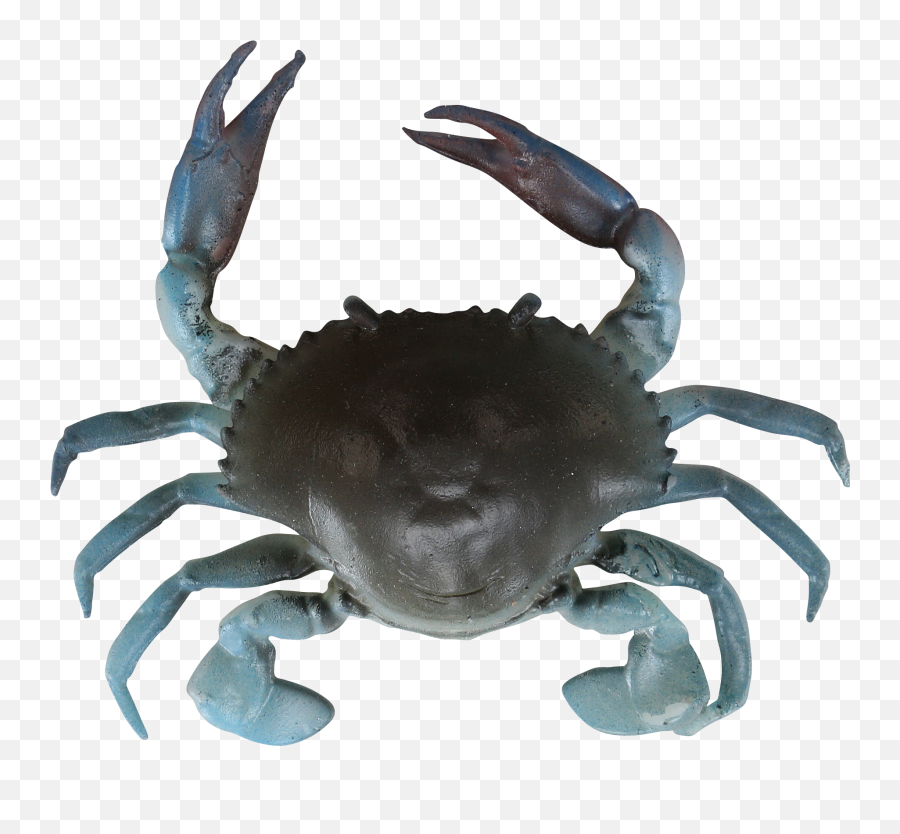 Blue Crabs Png Transparent - Savage Gear Crab,Blue Crab Png