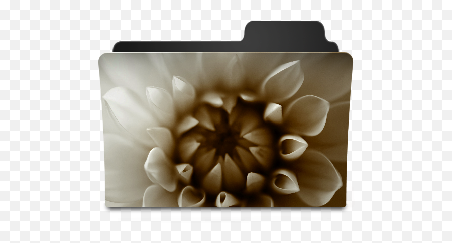 Flower Sepia Icon - Goodies Folder Icons Softiconscom Flower Desktop Folder Icons Png,Flower Icon Png