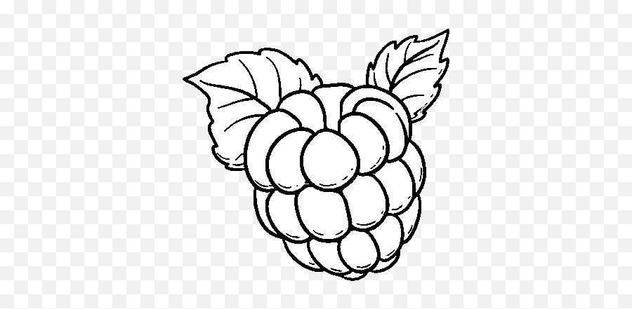 Download Raspberry Png Black And White Transparent - Raspberry Drawing,Raspberry Png