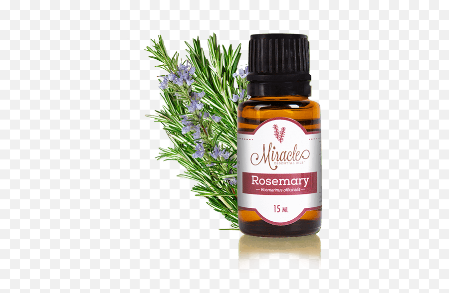 Miracle Essential Oils - Product Details Rosemary Png,Rosemary Png