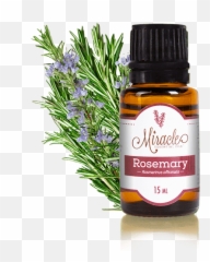 Miracle Essential Oils - Product Details Rosemary Png,Rosemary Png