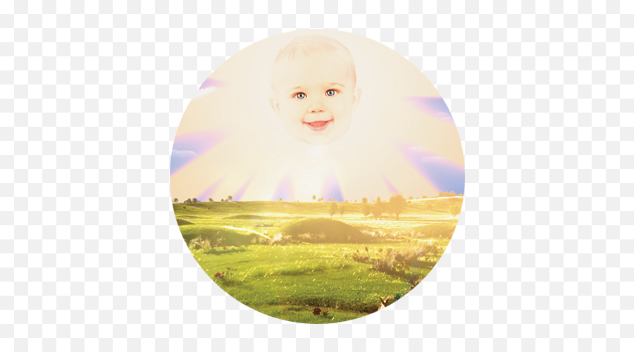 About Teletubbies - Teletubbies Teletubbies Profile Png,Teletubbies Png