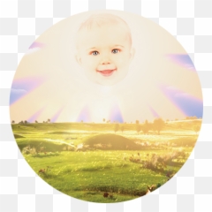About Teletubbies - Teletubbies Teletubbies Profile Png,Teletubbies Png