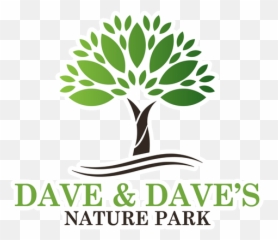 Dave U0026 Daveu0027s Costa Rica Nature Park - A Terrific Tree Graphic Purple Png,Costa Rica Png