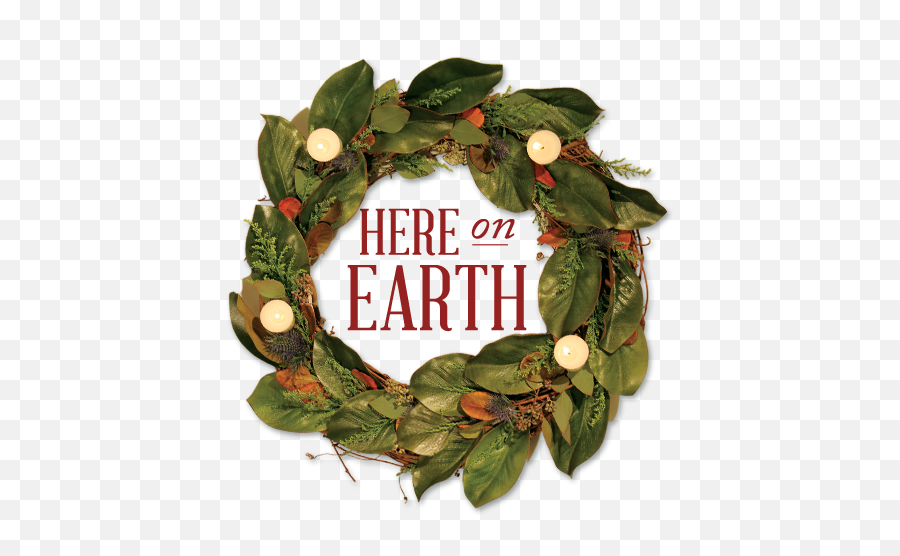 Download Hd Advent - Wreath Butcher Shop Transparent Png Twig,Advent Wreath Png