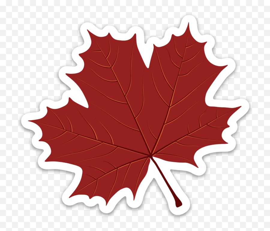 Maple Leaf Transparent Png - Big Red Maple Leaf,Maple Leaf Transparent