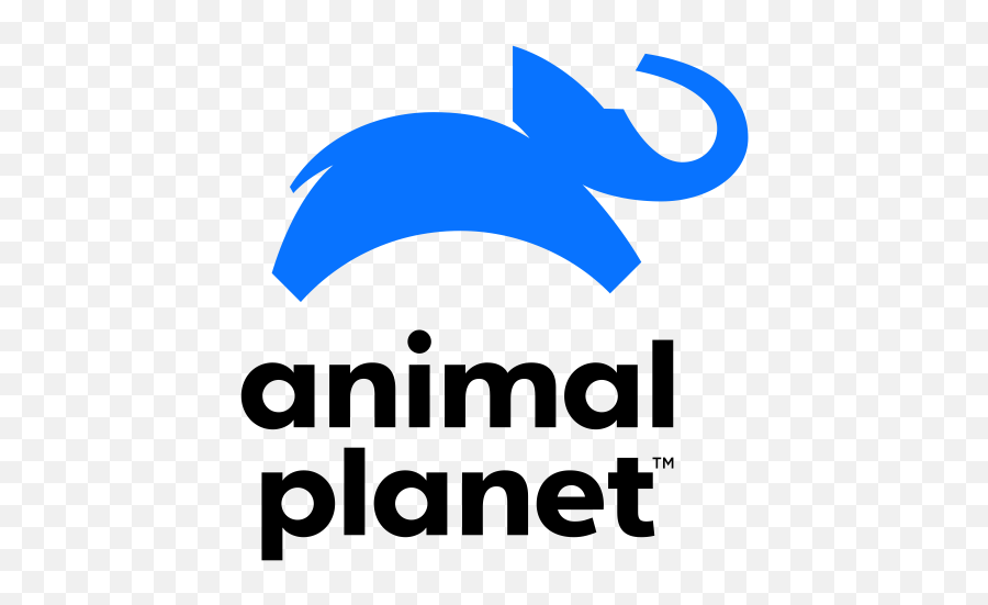 Advertise Animal Planet New Logo Png Animal Planet Logo Png Free 