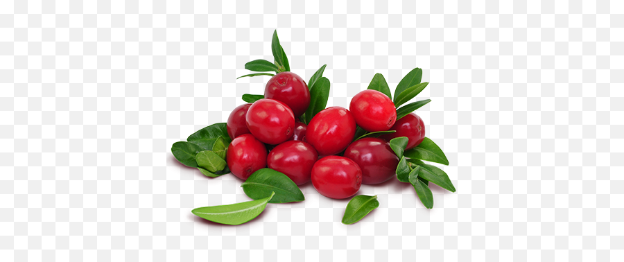 Download Ocean Spray Cranberries - Cranberries Transparent Png,Cranberries Png