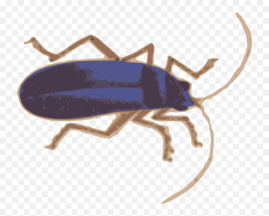 True Bug Png Transparent Images - Clip Art,Bugs Png
