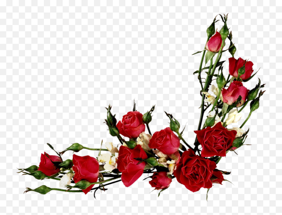 Vector Flowers Flower Clipart Vintage Roses - Border Red Flower Png,Vintage Flower Png