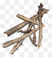 Cave Cricket Meat 76 Png